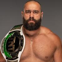 Wrestlingdata best sale